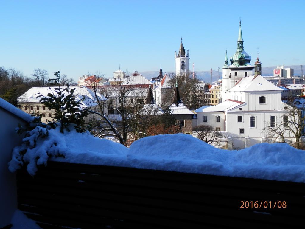 Hotel U Kozicky Теплице Екстериор снимка